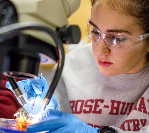 !Female student working on a project