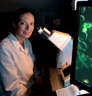 Student using a high-powered microscope in a laboratory. 