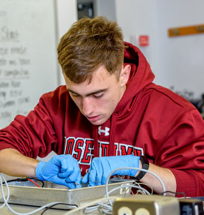 Student inspecting a green plant in a biology laboratory. 