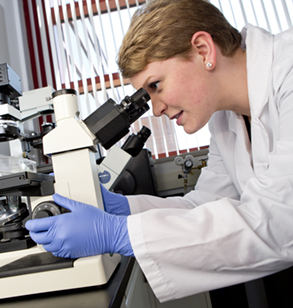 Biomedical engineer studying object through a microscope.