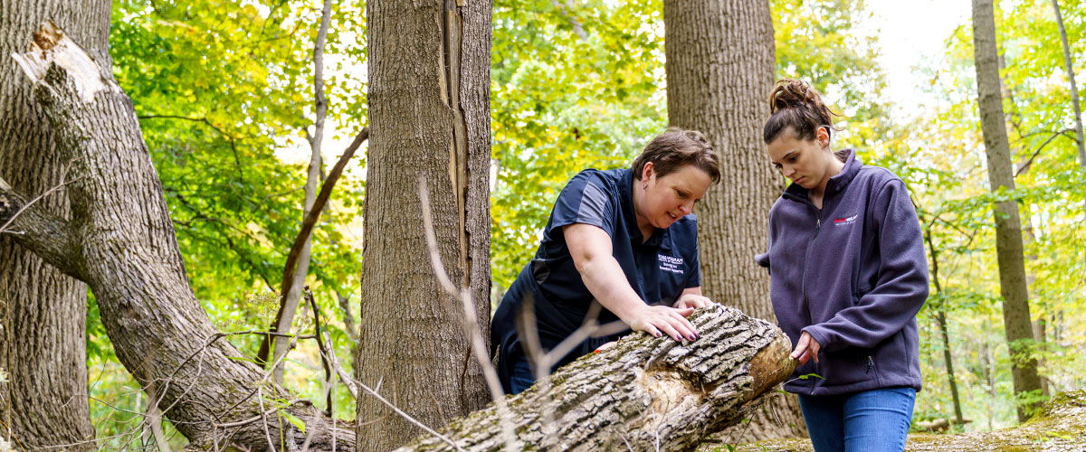 Student and faculty working in field area.