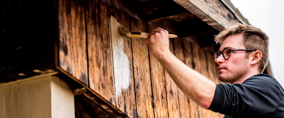 Male student is painting the outside wall of wooden outbuilding on campus.