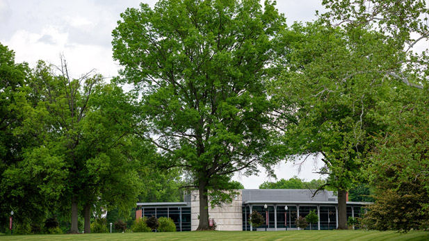 View of trees on Rose campus in front of Hatfield Hall