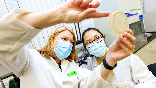 Professor Jen O'Connor and a Rose-Hulman student look at samples in a lab.